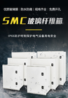 Caja de distribución del recinto de la fibra de vidrio del cable de SMC con estándar doble del CE de las cerraduras