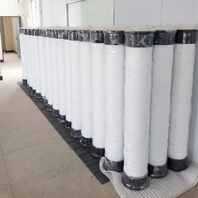 SFP2660 Módulo de filtración de agua para el tratamiento de grandes caudales de agua