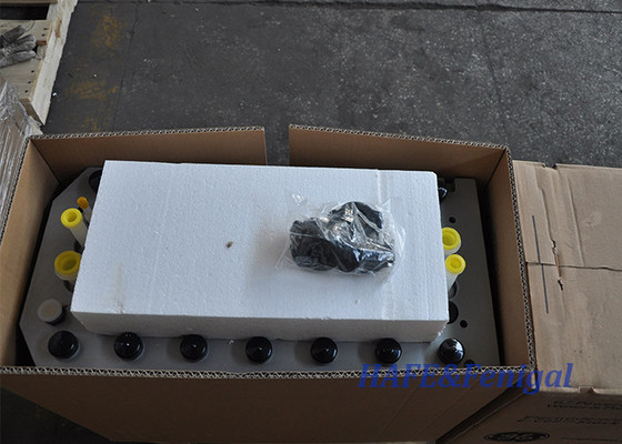 Veolia E Cell Edi Module Tratamiento del agua para agua ultrapura